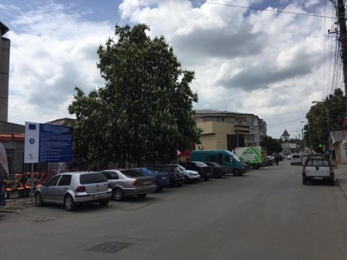 IMG-20190507-WA0010